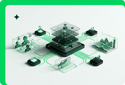 Data & Audience Strategy